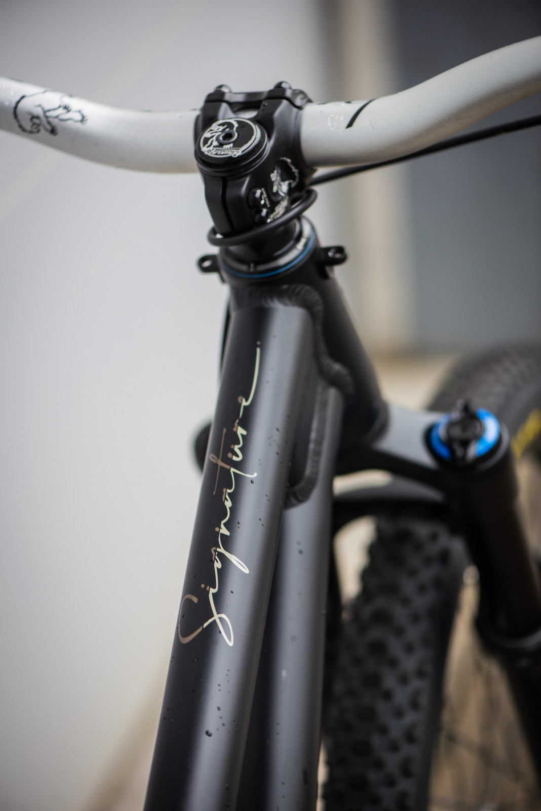 Demo Signature