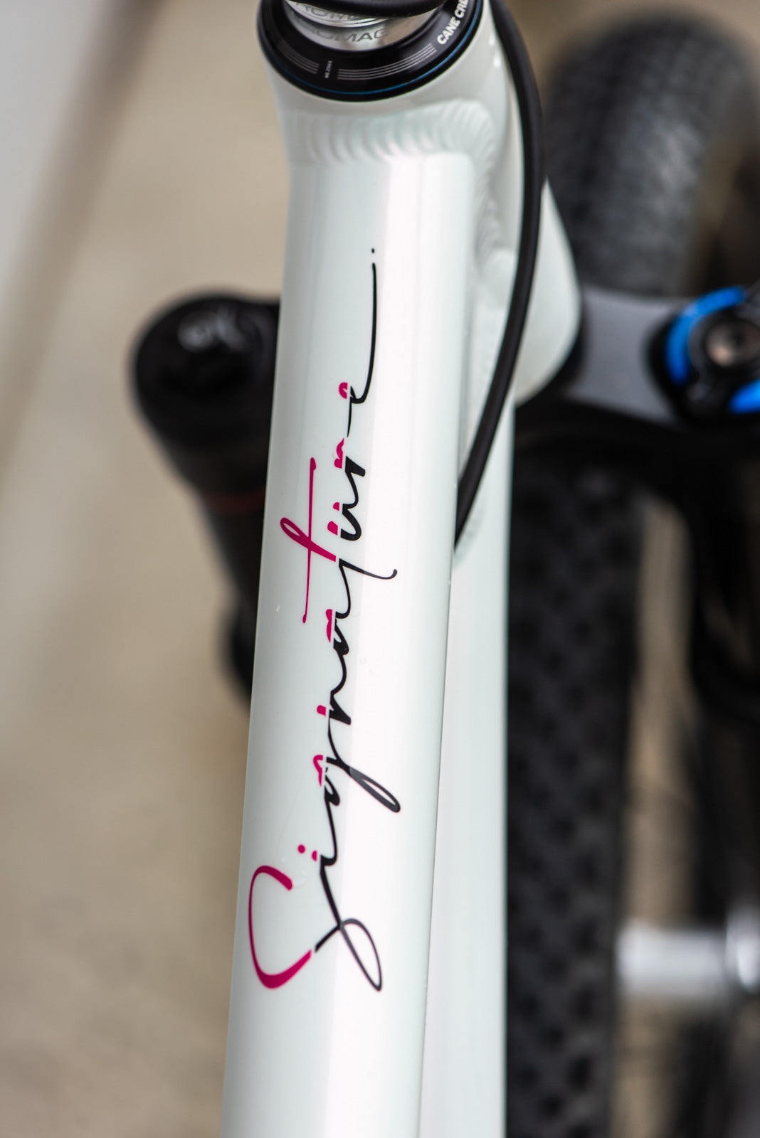 Demo Signature